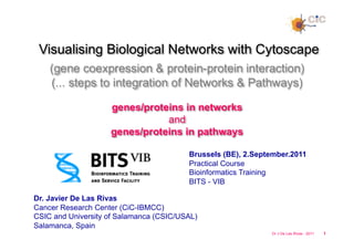 Visualising Biological Networks with Cytoscape
    (gene coexpression & protein-protein interaction)
    (... steps to integration of Networks & Pathways)

                    genes/proteins in networks
                               and
                    genes/proteins in pathways

                                         Brussels (BE), 2.September.2011
                                         Practical Course
                                         Bioinformatics Training
                                         BITS - VIB

Dr. Javier De Las Rivas
Cancer Research Center (CiC-IBMCC)
CSIC and University of Salamanca (CSIC/USAL)
Salamanca, Spain	
  
                                                              Dr J De Las Rivas - 2011   1
 