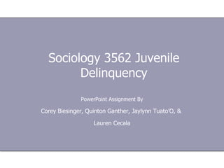 Sociology 3562 Juvenile Delinquency PowerPoint Assignment By Corey Biesinger, Quinton Ganther, Jaylynn Tuato’O, &  Lauren Cecala 