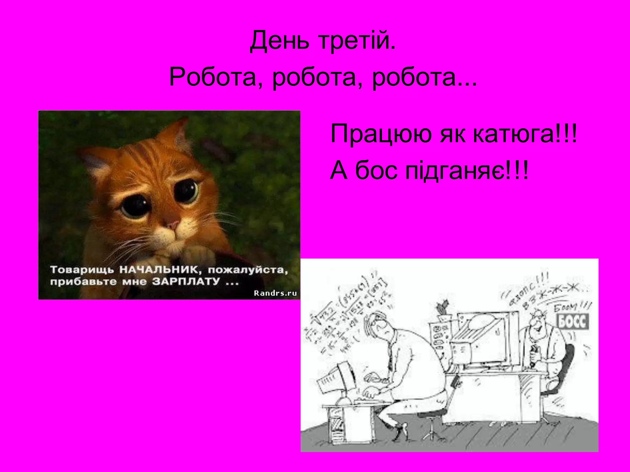 День третій.
Робота, робота, робота...

             Працюю як катюга!!!
             А бос підганяє!!!
 