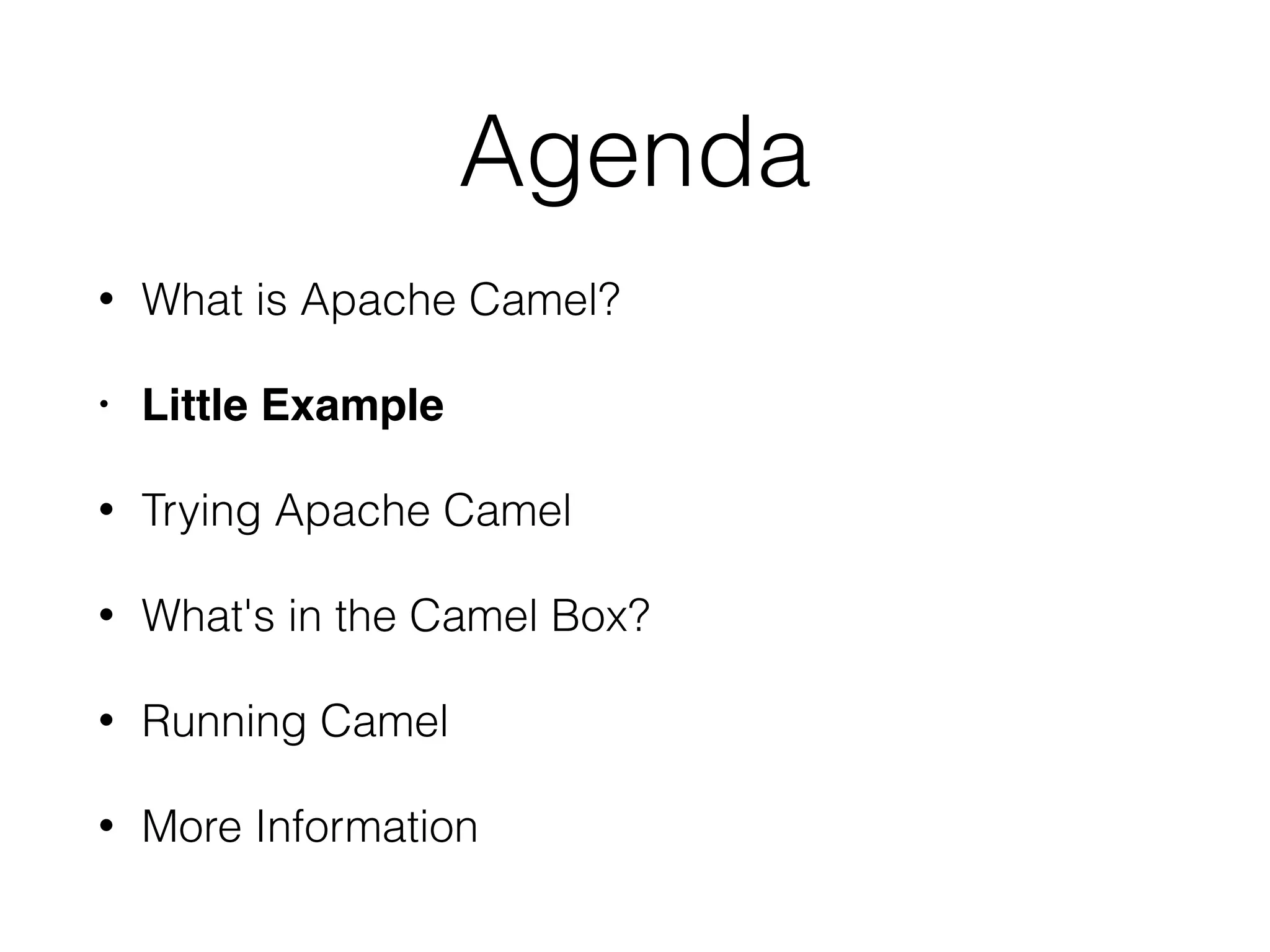 Agenda
• What is Apache Camel?
• Little Example
• Trying Apache Camel
• What's in the Camel Box?
• Running Camel
• More Information
 