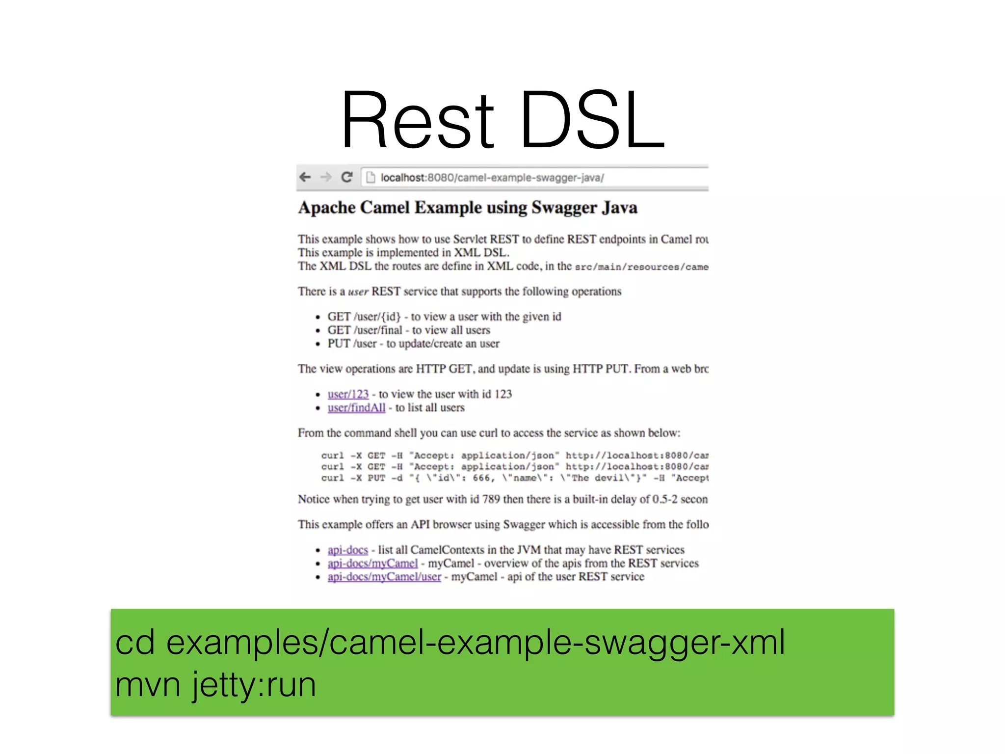 Rest DSL
cd examples/camel-example-swagger-xml
mvn jetty:run
 