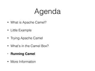 Agenda
• What is Apache Camel?
• Little Example
• Trying Apache Camel
• What's in the Camel Box?
• Running Camel
• More Information
 