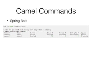 Camel Commands
• Spring Boot
 