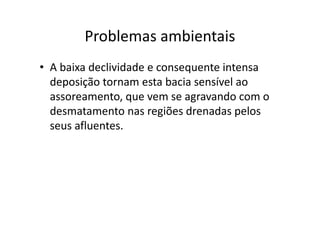 Problemas ambientais 
• A baixa declividade e consequente intensa 
deposição tornam esta bacia sensível ao 
assoreamento, que vem se agravando com o 
desmatamento nas regiões drenadas pelos 
seus afluentes. 
 