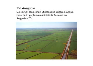 Rio Araguaia 
Suas águas são as mais utilizadas na irrigação. Abaixo 
canal de irrigação no município de Formoso do 
Araguaia – TO. 
 