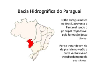 Bacia Hidrográfica do Paraguai 
O Rio Paraguai nasce 
no Brasil, atravessa o 
Pantanal sendo o 
principal responsável 
pela formação deste 
bioma. 
Por se tratar de um rio 
de planície no verão a 
baixa vazão leva ao 
transbordamento de 
suas águas. 
 
