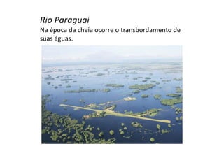 Rio Paraguai 
Na época da cheia ocorre o transbordamento de 
suas águas. 
 