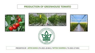 PRODUCTION OF GREENHOUSE TOMATO
PRESENTED BY : JATIN DANGI (TH-2021-20-BIV) / NITISH SHARMA ( TH-2021-27-BIV)
 
