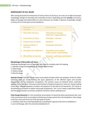 Cell injury; complete chapter | PDF