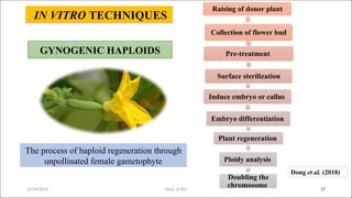 Hapliod Process Development and Utilization of Double Haploids in Cucurbits Breeding ...