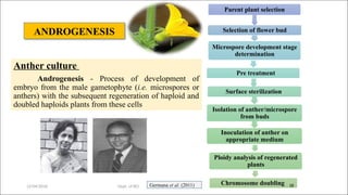 Development and Utilization of Double Haploids in Cucurbits Breeding ...
