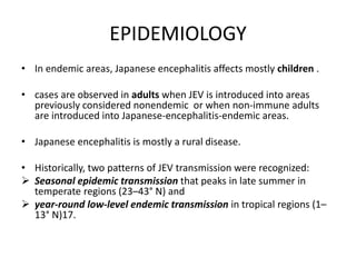 EPIDEMIOLOGY
• In endemic areas, Japanese encephalitis affects mostly children .
• cases are observed in adults when JEV is introduced into areas
previously considered nonendemic or when non-immune adults
are introduced into Japanese-encephalitis-endemic areas.
• Japanese encephalitis is mostly a rural disease.
• Historically, two patterns of JEV transmission were recognized:
 Seasonal epidemic transmission that peaks in late summer in
temperate regions (23–43° N) and
 year-round low-level endemic transmission in tropical regions (1–
13° N)17.
 