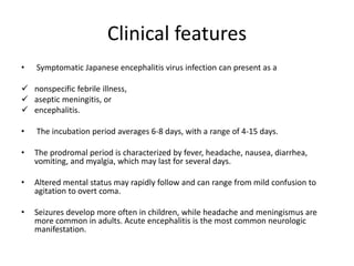 Clinical features
• Symptomatic Japanese encephalitis virus infection can present as a
 nonspecific febrile illness,
 aseptic meningitis, or
 encephalitis.
• The incubation period averages 6-8 days, with a range of 4-15 days.
• The prodromal period is characterized by fever, headache, nausea, diarrhea,
vomiting, and myalgia, which may last for several days.
• Altered mental status may rapidly follow and can range from mild confusion to
agitation to overt coma.
• Seizures develop more often in children, while headache and meningismus are
more common in adults. Acute encephalitis is the most common neurologic
manifestation.
 