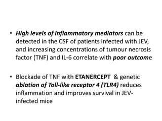 • High levels of inflammatory mediators can be
detected in the CSF of patients infected with JEV,
and increasing concentrations of tumour necrosis
factor (TNF) and IL-6 correlate with poor outcome
• Blockade of TNF with ETANERCEPT & genetic
ablation of Toll-like receptor 4 (TLR4) reduces
inflammation and improves survival in JEV-
infected mice
 