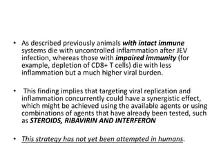 • As described previously animals with intact immune
systems die with uncontrolled inflammation after JEV
infection, whereas those with impaired immunity (for
example, depletion of CD8+ T cells) die with less
inflammation but a much higher viral burden.
• This finding implies that targeting viral replication and
inflammation concurrently could have a synergistic effect,
which might be achieved using the available agents or using
combinations of agents that have already been tested, such
as STEROIDS, RIBAVIRIN AND INTERFERON
• This strategy has not yet been attempted in humans.
 
