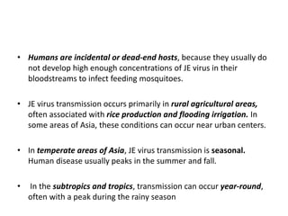 • Humans are incidental or dead-end hosts, because they usually do
not develop high enough concentrations of JE virus in their
bloodstreams to infect feeding mosquitoes.
• JE virus transmission occurs primarily in rural agricultural areas,
often associated with rice production and flooding irrigation. In
some areas of Asia, these conditions can occur near urban centers.
• In temperate areas of Asia, JE virus transmission is seasonal.
Human disease usually peaks in the summer and fall.
• In the subtropics and tropics, transmission can occur year-round,
often with a peak during the rainy season
 