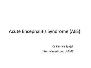 Acute Encephalitis Syndrome (AES)
Dr Kamala Sanjel
Internal medicine, ,NAMS
 