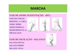 MARCHA
FASE DE APOIO- SUSTENTAÇÃO -60%-
CONTATO INICIAL
RESPOSTA A CARGA APOIO
APOIO MÉDIO
APOIO TERMINAL
DEPRENDIMENTO ou
PRÉ-BALANÇO
FASE DE OSCILAÇÃO – BALANÇO
BALANÇO INICIAL
BALANÇO MÉDIO
BALANÇO FINAL
 