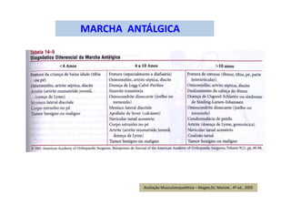 MARCHA ANTÁLGICA
Avaliação Musculoesquelética – Magee,DJ; Manole , 4ª ed., 2005
 