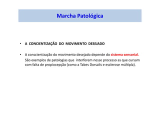 Marcha Patológica
• A CONCIENTIZAÇÃO DO MOVIMENTO DESEJADO
• A conscientização do movimento desejado depende do sistema sensorial.
São exemplos de patologias que interferem nesse processo as que cursam
com falta de propiocepção (como a Tabes Dorsalis e esclerose múltipla).
 
