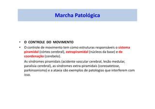 Marcha Patológica
• O CONTROLE DO MOVIMENTO
• O controle de movimento tem como estruturas responsáveis o sistema
piramidal (córtex cerebral), extrapiramidal (núcleos da base) e de
coordenação (cerebelo).
As síndromes piramidais (acidente vascular cerebral, lesão medular,
paralisia cerebral), as síndromes extra-piramidais (coreoatetose,
parkinsonismo) e a ataxia são exemplos de patologias que interferem com
isso.
 