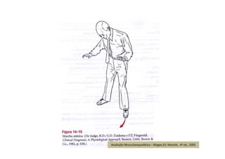 Avaliação Musculoesquelética – Magee,DJ; Manole , 4ª ed., 2005
 