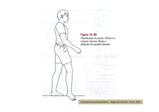 Avaliação Musculoesquelética – Magee,DJ; Manole , 4ª ed., 2005
 