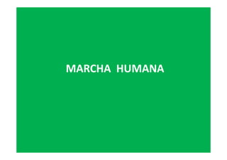 MARCHA HUMANA
 