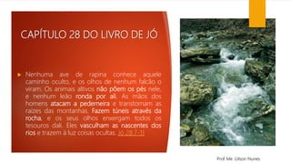 CAPÍTULO 28 DO LIVRO DE JÓ
 Nenhuma ave de rapina conhece aquele
caminho oculto, e os olhos de nenhum falcão o
viram. Os animais altivos não põem os pés nele,
e nenhum leão ronda por ali. As mãos dos
homens atacam a pederneira e transtornam as
raízes das montanhas. Fazem túneis através da
rocha, e os seus olhos enxergam todos os
tesouros dali. Eles vasculham as nascentes dos
rios e trazem à luz coisas ocultas. Jó 28:7-11
Prof. Me. Uilson Nunes
 