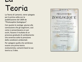 La TeoriaLa Teoria di Lamarck, viene spiegata per la prima volta con la pubblicazione del 1809 de “PholosophieZoologique”.Con questo lo zoologo  giunse alla conclusione che gli organismi, così come si presentavano ai suoi occhi, fossero il risultato di un processo graduale di cambiamento che avveniva sotto la pressione delle condizioni ambientali.Per spiegare quella che sembrava essere una prima teoria evoluzionista, Lamarck basò la sua teoria su 3 idee.