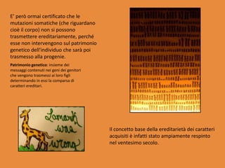 E’ però ormai certificato che le mutazioni somatiche (che riguardano cioè il corpo) non si possono trasmettere ereditariamente, perché esse non intervengono sul patrimonio genetico dell'individuo che sarà poi trasmesso alla progenie.Patrimonio genetico: insieme dei messaggi contenuti nei geni dei genitori che vengono trasmessi ai loro figli determinando in essi la comparsa di caratteri ereditari. Il concetto base della ereditarietà dei caratteri acquisiti è infatti stato ampiamente respinto nel ventesimo secolo. 