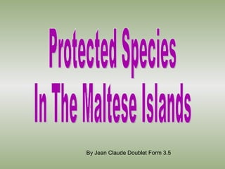 Protected Species  In The Maltese Islands By Jean Claude Doublet Form 3.5 