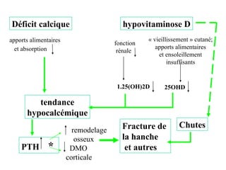 Déficit calcique apports alimentaires et absorption   hypovitaminose D « vieillissement » cutané; apports alimentaires et ensoleillement insuffisants fonction  rénale 1.25(OH)2D 25OHD tendance hypocalcémique PTH  *  remodelage  osseux  DMO corticale Fracture de  la hanche et autres Chutes 