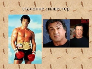 сталонне силвестер
 