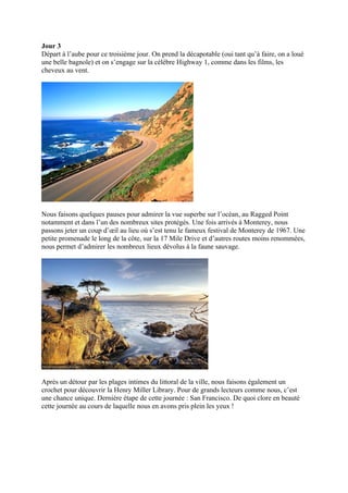 Jour 3
Départ à l’aube pour ce troisième jour. On prend la décapotable (oui tant qu’à faire, on a loué
une belle bagnole) et on s’engage sur la célèbre Highway 1, comme dans les films, les
cheveux au vent.




Nous faisons quelques pauses pour admirer la vue superbe sur l’océan, au Ragged Point
notamment et dans l’un des nombreux sites protégés. Une fois arrivés à Monterey, nous
passons jeter un coup d’œil au lieu où s’est tenu le fameux festival de Monterey de 1967. Une
petite promenade le long de la côte, sur la 17 Mile Drive et d’autres routes moins renommées,
nous permet d’admirer les nombreux lieux dévolus à la faune sauvage.




Après un détour par les plages intimes du littoral de la ville, nous faisons également un
crochet pour découvrir la Henry Miller Library. Pour de grands lecteurs comme nous, c’est
une chance unique. Dernière étape de cette journée : San Francisco. De quoi clore en beauté
cette journée au cours de laquelle nous en avons pris plein les yeux !
 