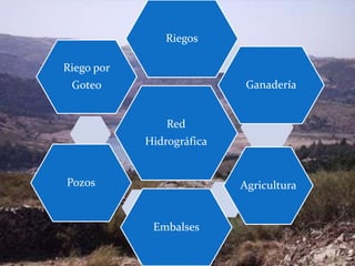 Riegos

Riego por
 Goteo                      Ganadería


                Red
            Hidrográfica


Pozos                      Agricultura


             Embalses
 