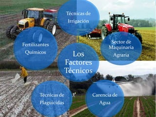 Técnicas de
                       Irrigación



                                            Sector de
Fertilizantes
                                           Maquinaria
 Químicos
                        Los                   Agraria
                      Factores
                      Técnicos


        Técnicas de                 Carencia de
        Plaguicidas                    Agua
 