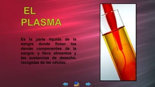 Es la parte liquida de la
sangre donde flotan los
demás componentes de la
sangre; y lleva alimentos y
las sustancias de desecho,
recogidas de las células.
 