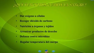 • Dar oxígeno a células
• Recoger dióxido de carbono
• Nutrición a órganos y tejidos
• Arrastrar productos de desecho
• Defensa contra microbios
• Regular temperatura del cuerpo
 