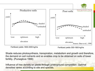 Productive soils                                Poor soils

yield                                                yield


                                            shaded
                                        unshaded                                                shaded

                                                                                                unshaded


        Low        optimum            high                   Low       optimum              high
                   elevation                                           elevation
                                                                                   Source: Beer et al., 1998
        Fertilized yields 1800-3000 kg/ha                     Fertilized yields 300-1800 kg/ha


Shade reduces photosynthesis, transpiration, metabolism and growth and therefore,
the demand on soil nutrients and so enables crop to be obtained on soils of lower
fertility. (Purseglove 1968)

Influence of tree density on yields through underground competition. Optimal
densities varies according to site and species.
 