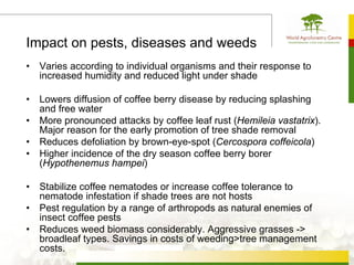 Impact on pests, diseases and weeds
•   Varies according to individual organisms and their response to
    increased humidity and reduced light under shade

•   Lowers diffusion of coffee berry disease by reducing splashing
    and free water
•   More pronounced attacks by coffee leaf rust (Hemileia vastatrix).
    Major reason for the early promotion of tree shade removal
•   Reduces defoliation by brown-eye-spot (Cercospora coffeicola)
•   Higher incidence of the dry season coffee berry borer
    (Hypothenemus hampei)

•   Stabilize coffee nematodes or increase coffee tolerance to
    nematode infestation if shade trees are not hosts
•   Pest regulation by a range of arthropods as natural enemies of
    insect coffee pests
•   Reduces weed biomass considerably. Aggressive grasses ->
    broadleaf types. Savings in costs of weeding>tree management
    costs.
 