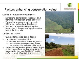 Factors enhancing conservation value
Coffee plantation characteristics
• Structural complexity (habitat) and
  floristic composition (food sources)
• Plantation management intensity
  (thinning, pollarding, fertilizers)
• Vertical canopy thickness, coffee
  height and presence of epiphytes for
  butterfly diversity
Landscape factors                           Source: Turyomurugyendo

• Overall landscape degradation
• Landscape characteristics
    – Number and size of forest fragments
    – Distance and connectivity to forest
      patches (mobile vs less mobile spp)
• Forest management policy. Hard edges
  in East Africa for segregating land
  uses, reducing h-w conflicts, easier
  enforcement of restrictions
 