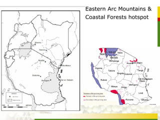 Eastern Arc Mountains &
Coastal Forests hotspot
 