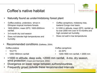 Coffee’s native habitat
•        Naturally found as under/midstorey forest plant
    •    Coffea arabica, understory shrub in       •    Coffea canephora, midstorey tree,
         Ethiopian tropical montane forests             lowland Congo river basin,
    •    1600-2800m; mean 20ºC; 1600-2000mm        •    0-1200 m altitude, mean 25ºC, rainfall up
         rainfall;                                      to over 2000 mm over 9-10 months and
    •    3-4 month dry cool season                      high constant air humidity
    •    Does not tolerate high temperatures and   •    Does not well in low temperatures
         humidity

•       Recommended conditions (DaMatta, 2004)
        Coffea arabica                                 Coffea canephora
        • 18-21ºC                                      • 22-30ºC
        • 1200-1800mm rainfall                         • 1200-1800 mm rainfall, > 2000 mm

•        >1000 m altitude, deep soils, >2000 mm rainfall, 4-mo. dry season,
         wind protection (Vaast and Harmand, 2002)
•        Divergence on lower range between authors/countries
•        Frequently grown outside these recommended intervals
 