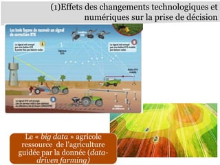 (1)Effets des changements technologiques et
numériques sur la prise de décision
Le « big data » agricole
ressource de l’ag...