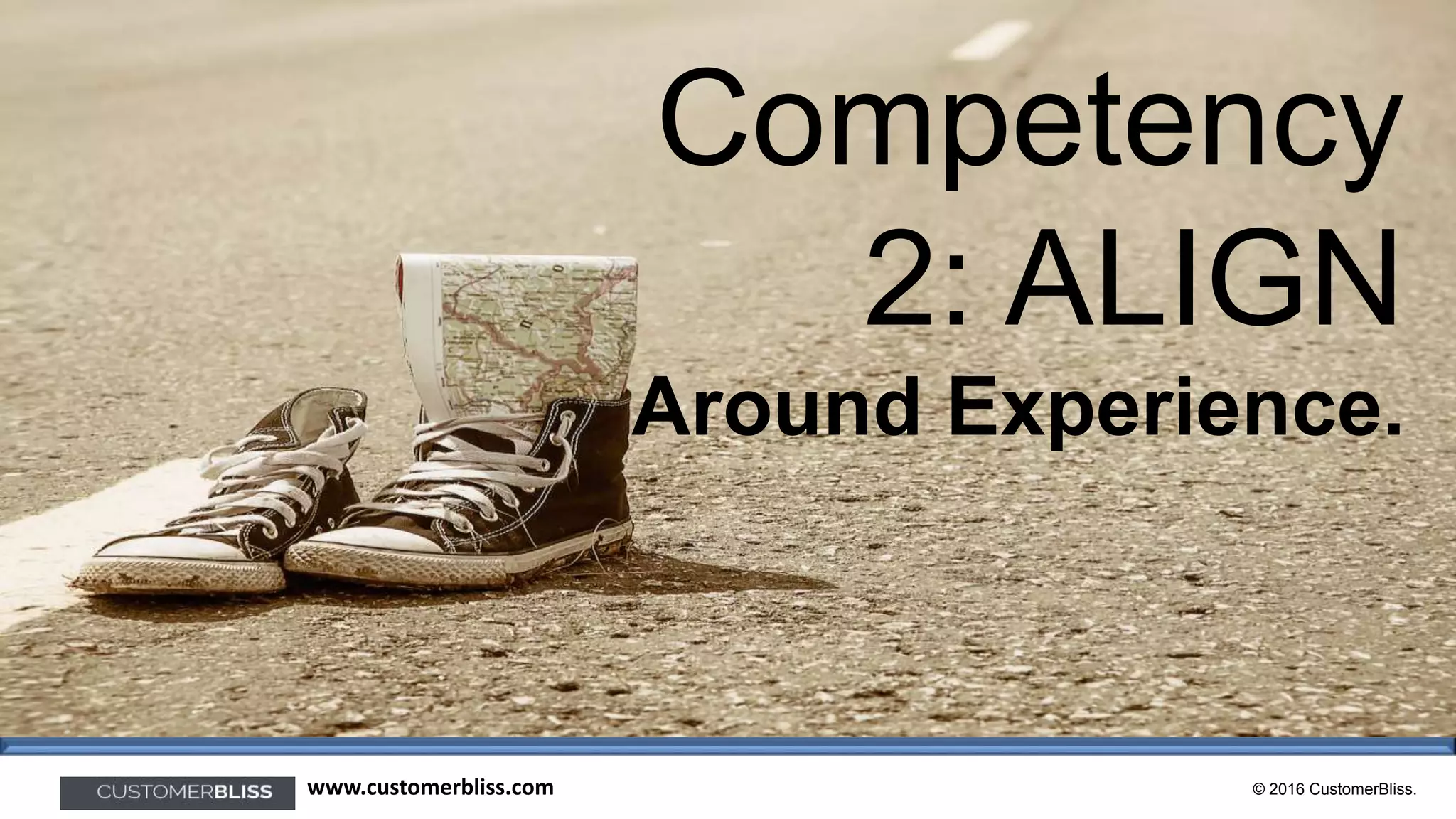 © 2016 CustomerBliss.www.customerbliss.com
Competency
2: ALIGN
Around Experience.
 