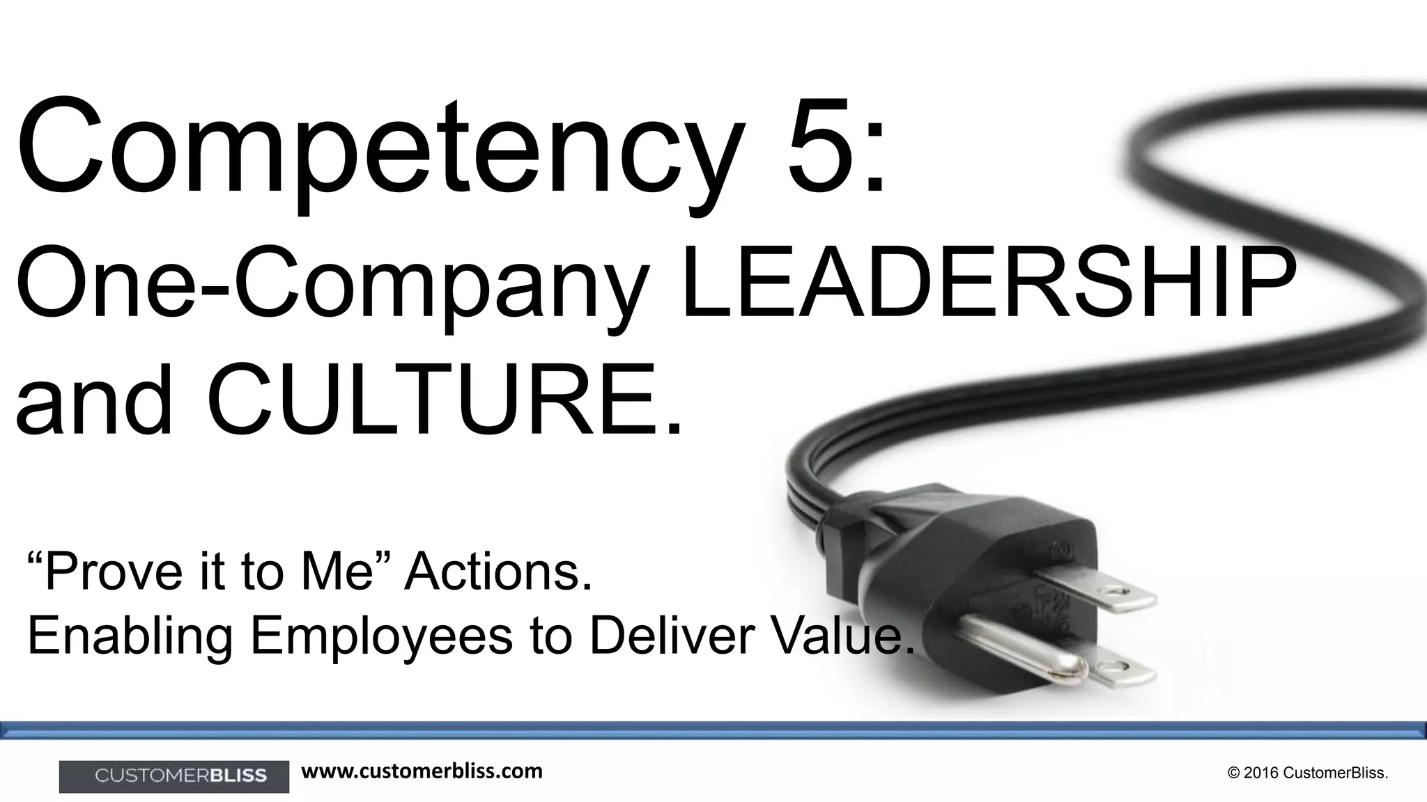 © 2016 CustomerBliss.www.customerbliss.com
Competency 5:
One-Company LEADERSHIP
and CULTURE.
“Prove it to Me” Actions.
Enabling Employees to Deliver Value.
 
