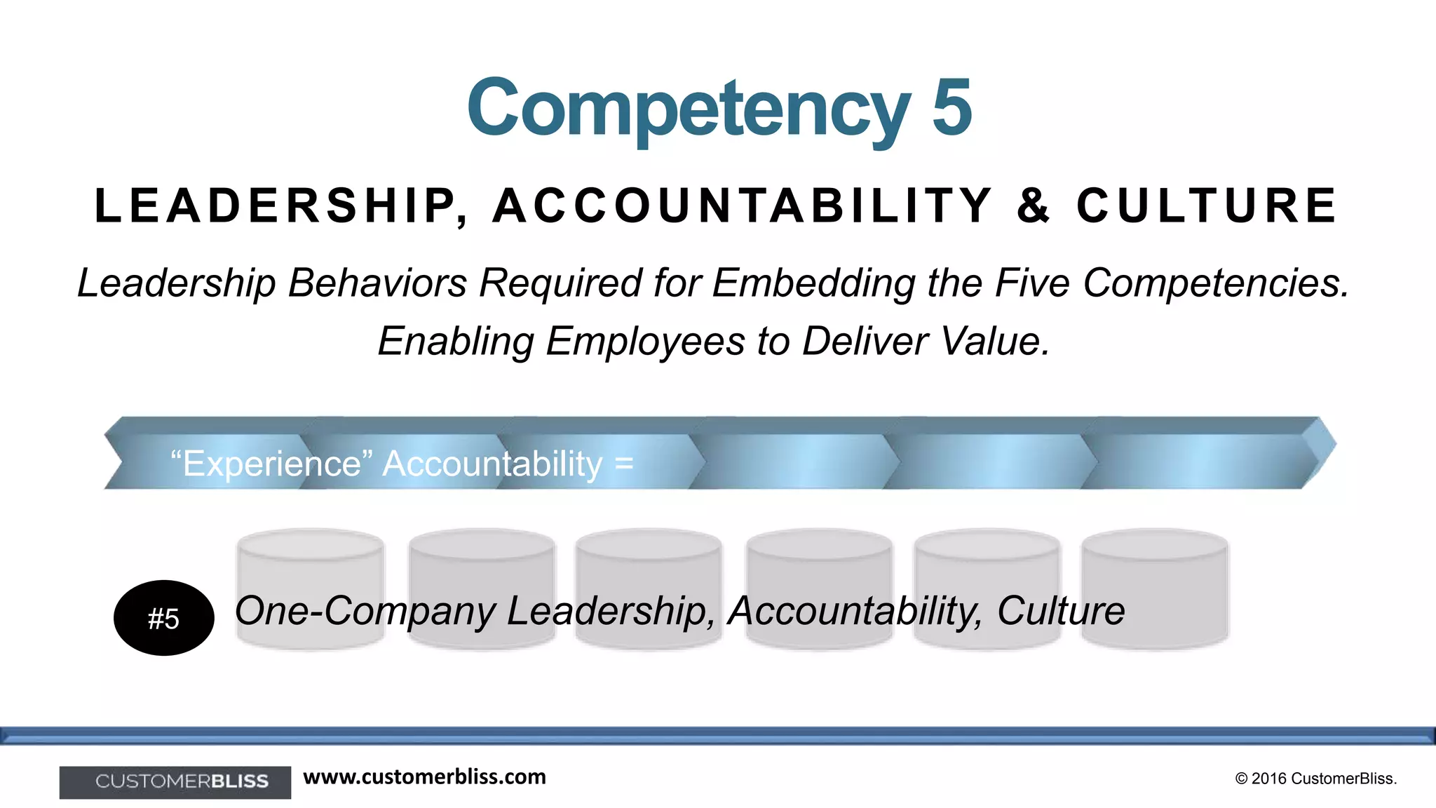 © 2016 CustomerBliss.www.customerbliss.com
One-Company Leadership, Accountability, Culture
“Experience” Accountability =
#5
LEADERSHIP, ACCOUNTABILITY & CULTURE
Leadership Behaviors Required for Embedding the Five Competencies.
Enabling Employees to Deliver Value.
Competency 5
 