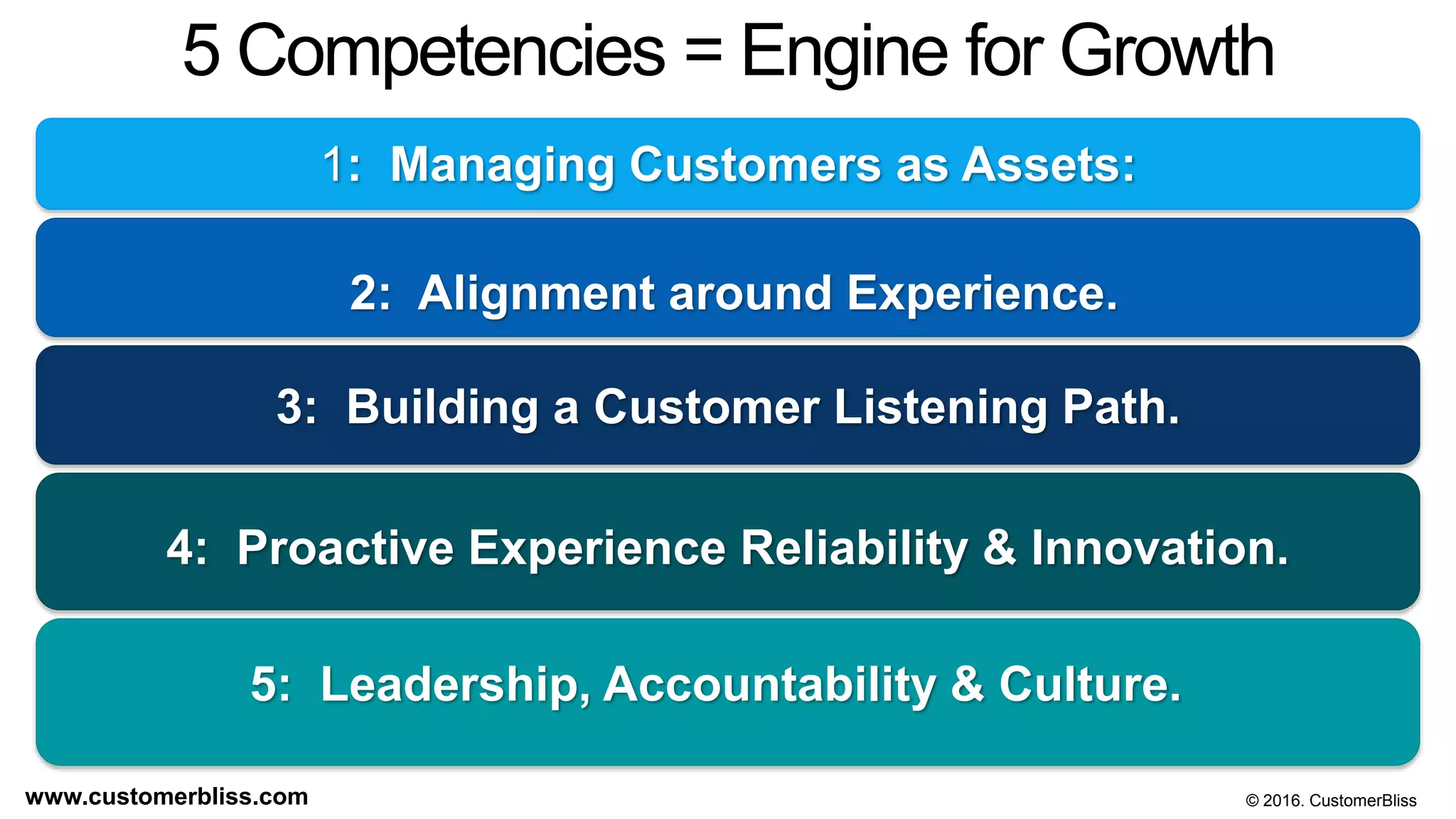 © 2016 CustomerBliss.www.customerbliss.com
5 Competencies = Engine for Growth
1: Managing Customers as Assets:
2: Alignment around Experience.
3: Building a Customer Listening Path.
4: Proactive Experience Reliability & Innovation.
5: Leadership, Accountability & Culture.
© 2016. CustomerBlisswww.customerbliss.com
 