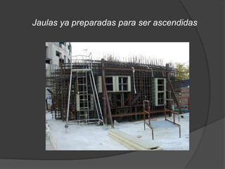 Jaulas ya preparadas para ser ascendidas
 